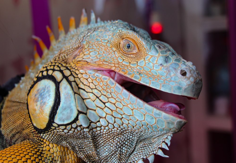 Photograph by Яна Толмачёва