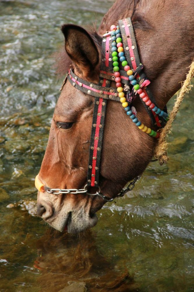 Photograph by omid zarei