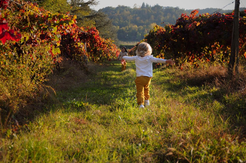 Photograph by Irina Grek