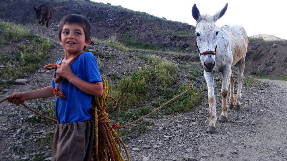 Photograph by omid zarei