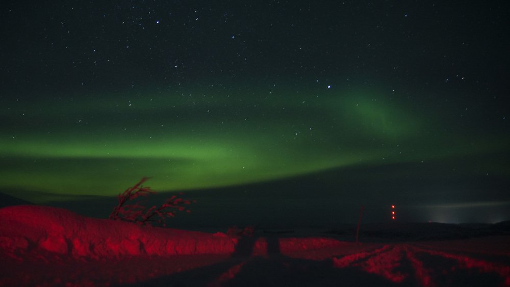 Photograph by косяк