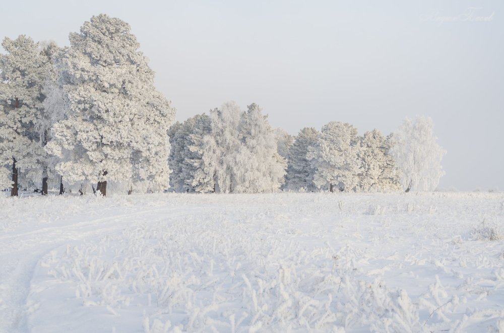 Зимний пейзаж.