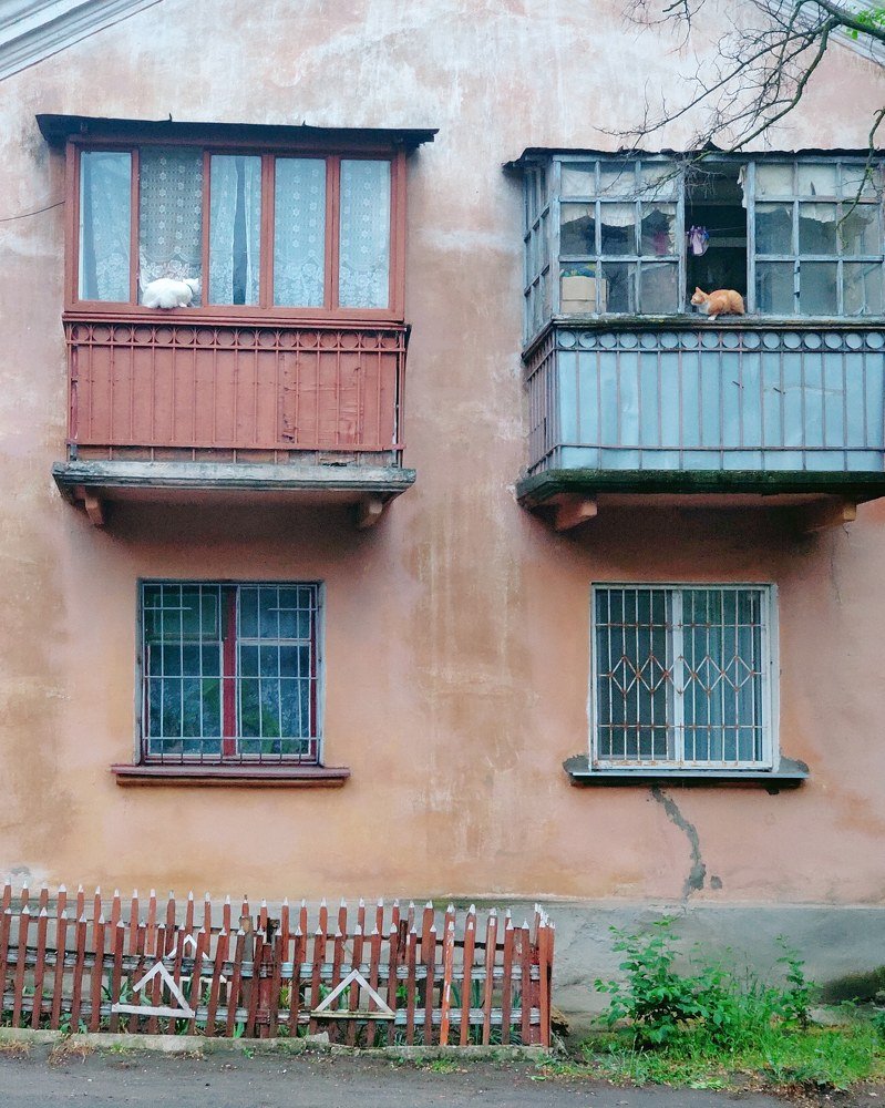 Photograph by андрей грищук