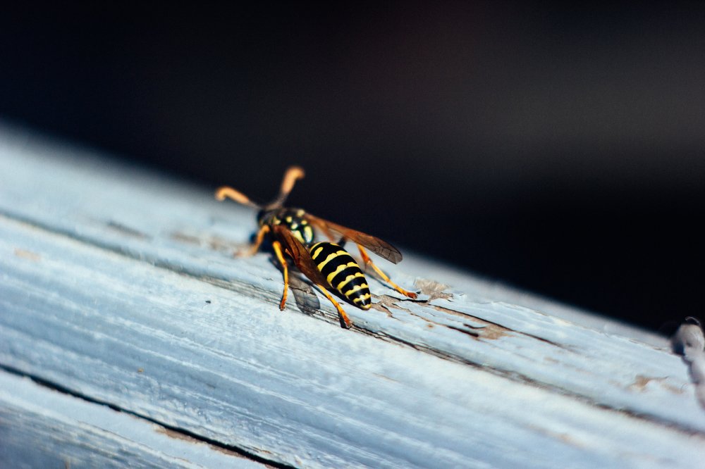 Photograph by Evgeniya Gribova