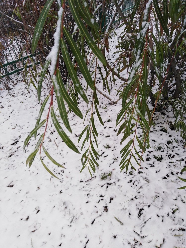 Photograph by Татьяна Ситникова