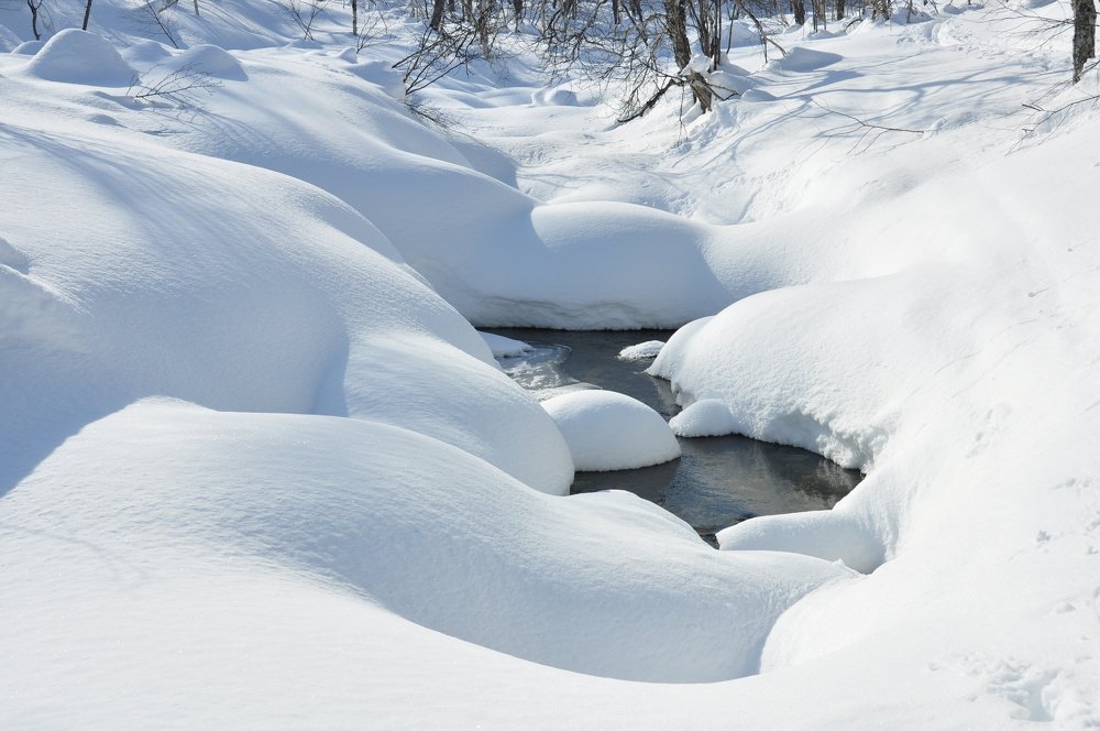 Photograph by Евгений Захаров