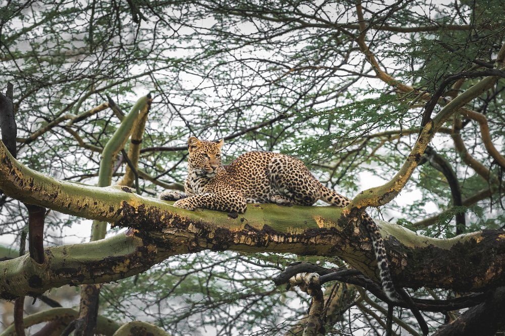 Photograph by Дмитрий Николаев