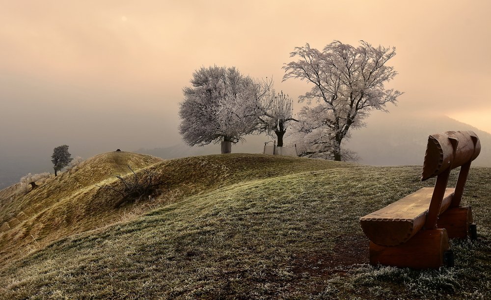 Photograph by Elena Wymann