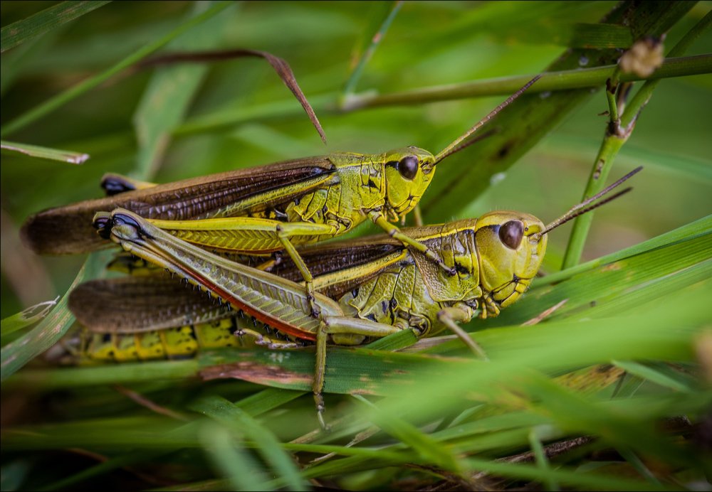 Photograph by Даркина Дарья