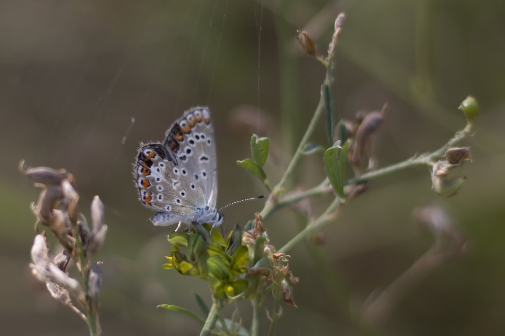 Photograph by Елена Носова