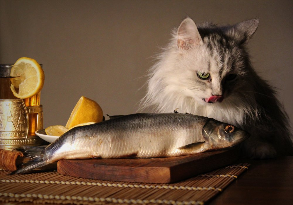 Photograph by Зоя Быкова