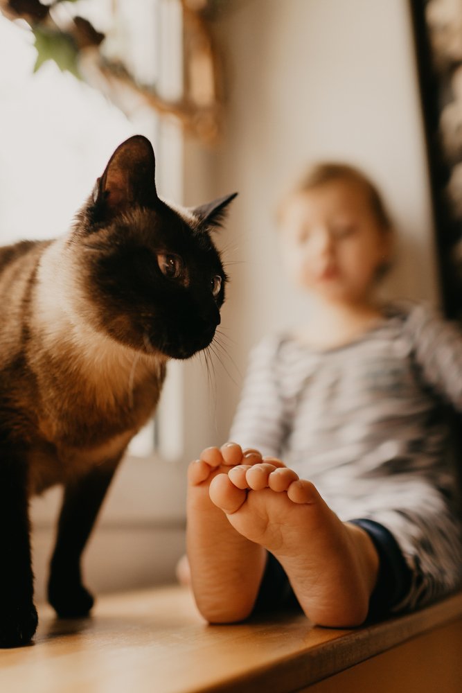 Фотография автора KATRIN ANANSKI