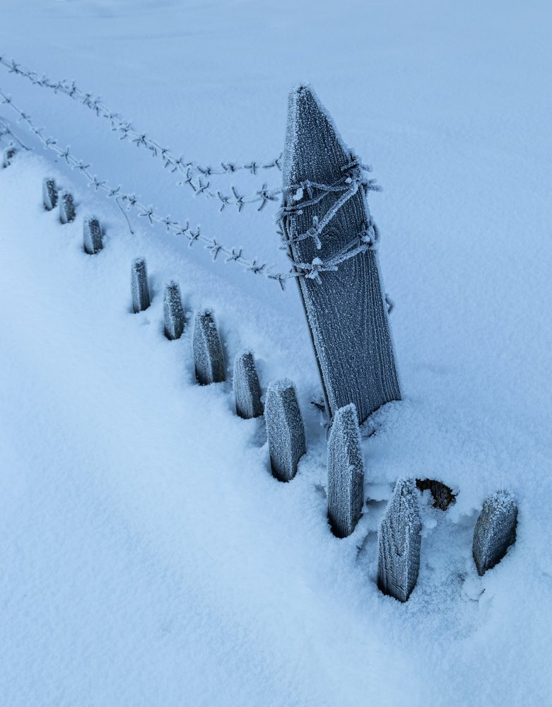 Photograph by Марина Новожилова