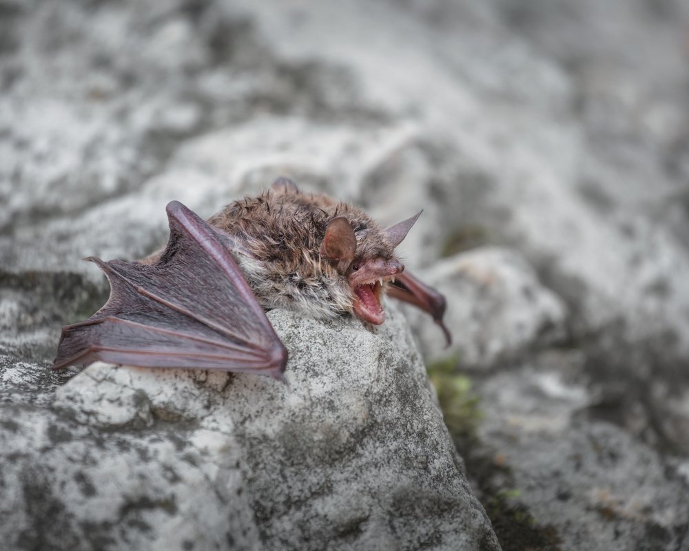 Фотография автора Игорь Филимонов