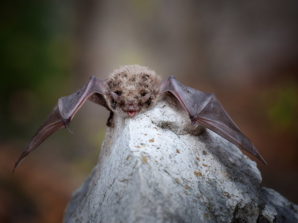 Фотография автора Игорь Филимонов