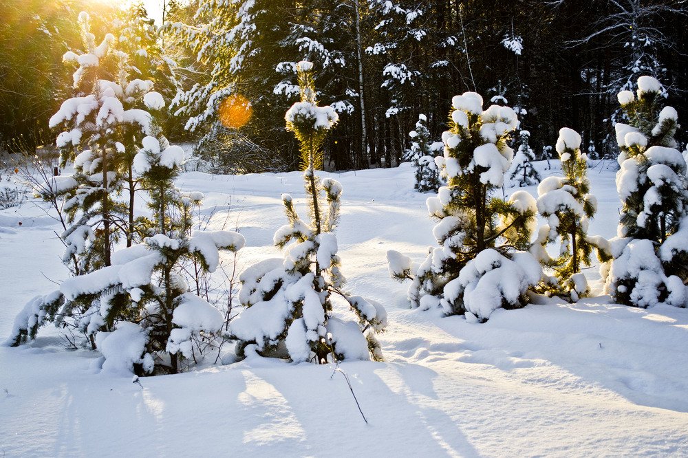 Photograph by Victoria Krasyuk