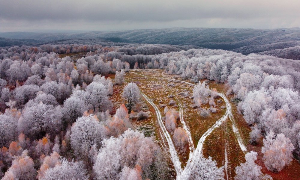 Photograph by Mihai Romeo Bogdan