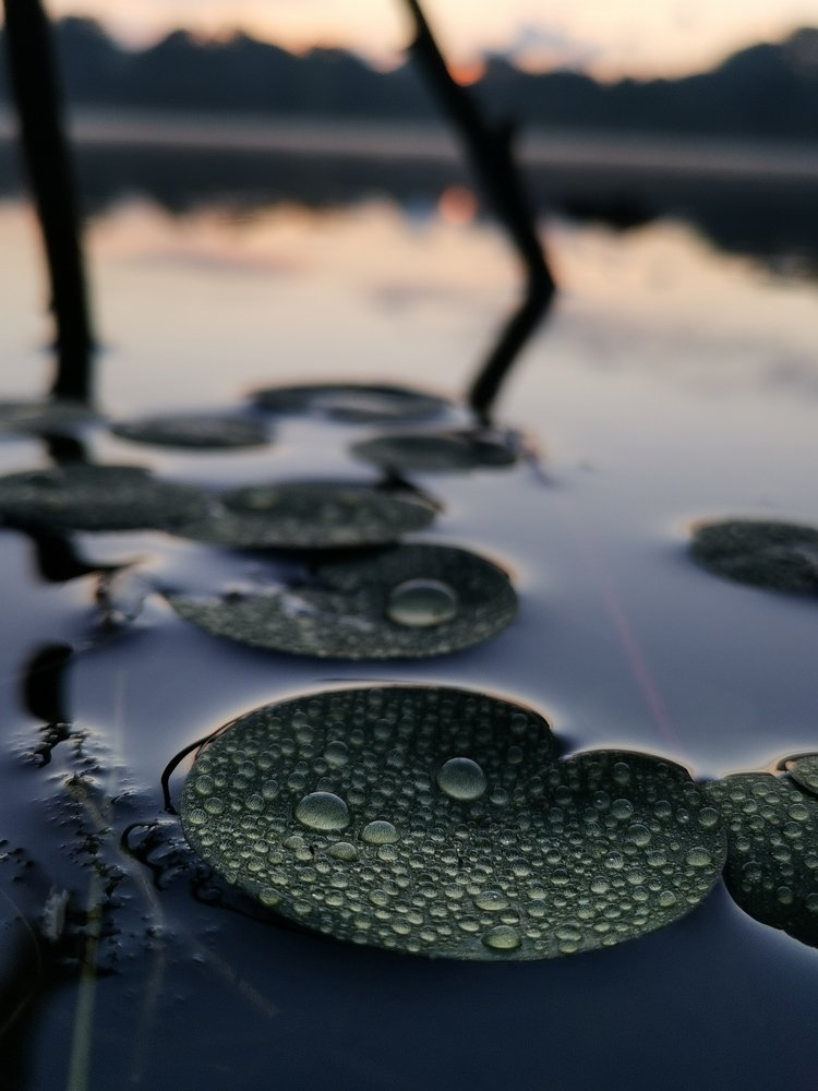 Photograph by Армен Багдасарян