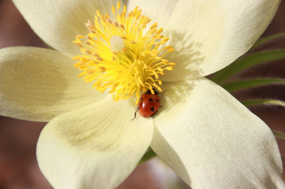 Photograph by Наталия Клишина