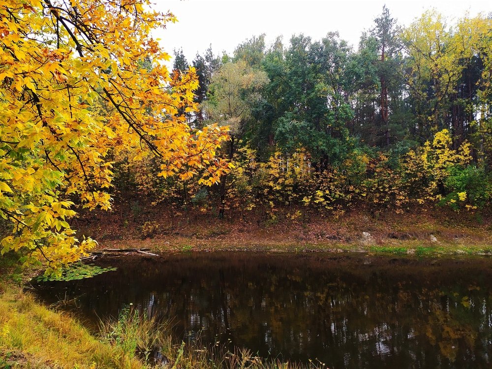 Photograph by Андрей Микулич