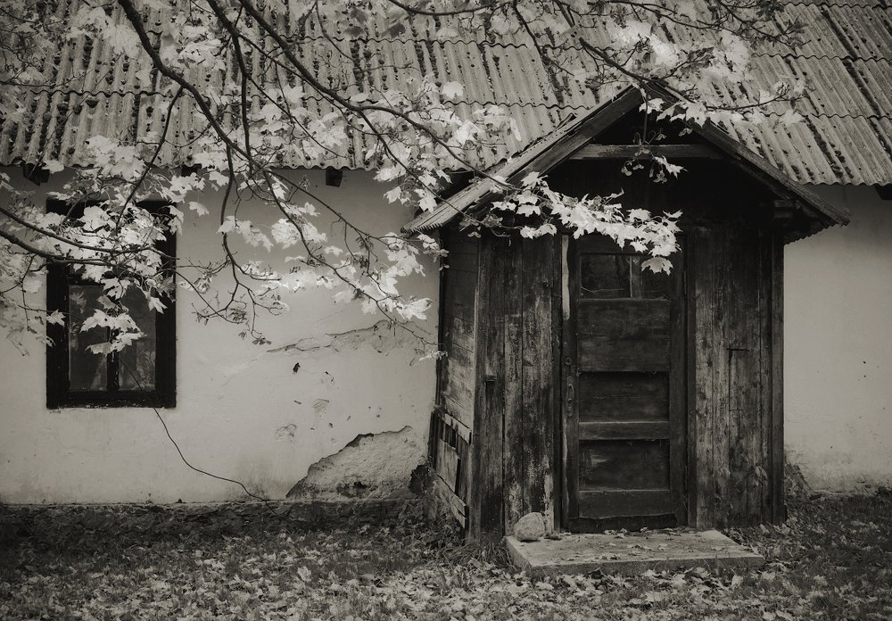 Из прошлой жизни