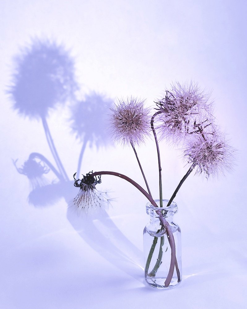 Photograph by Алеся Писнова