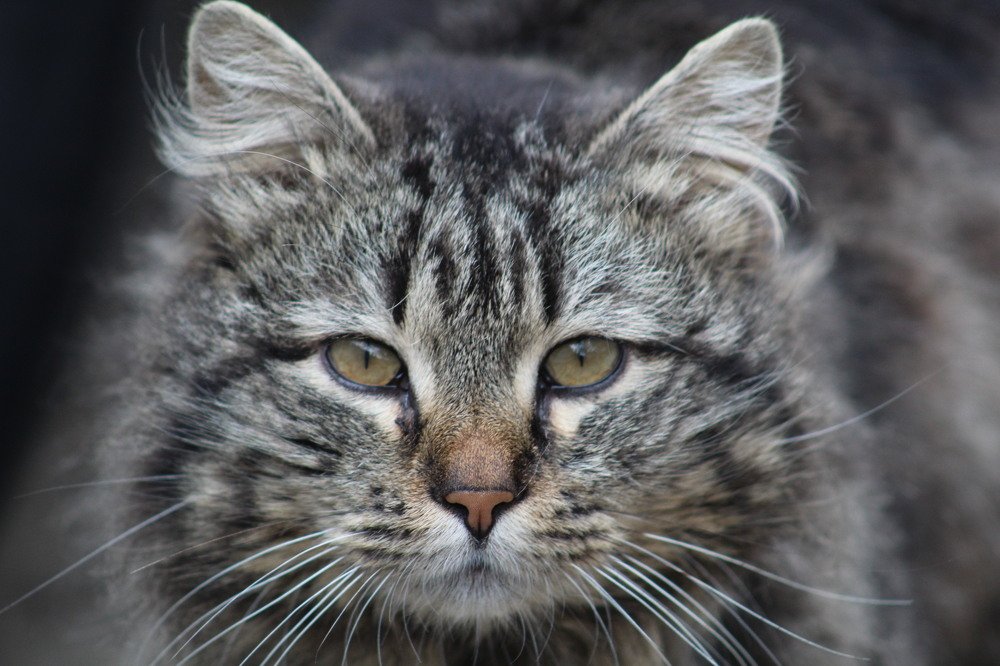 Photograph by Татьяна Слободчикова