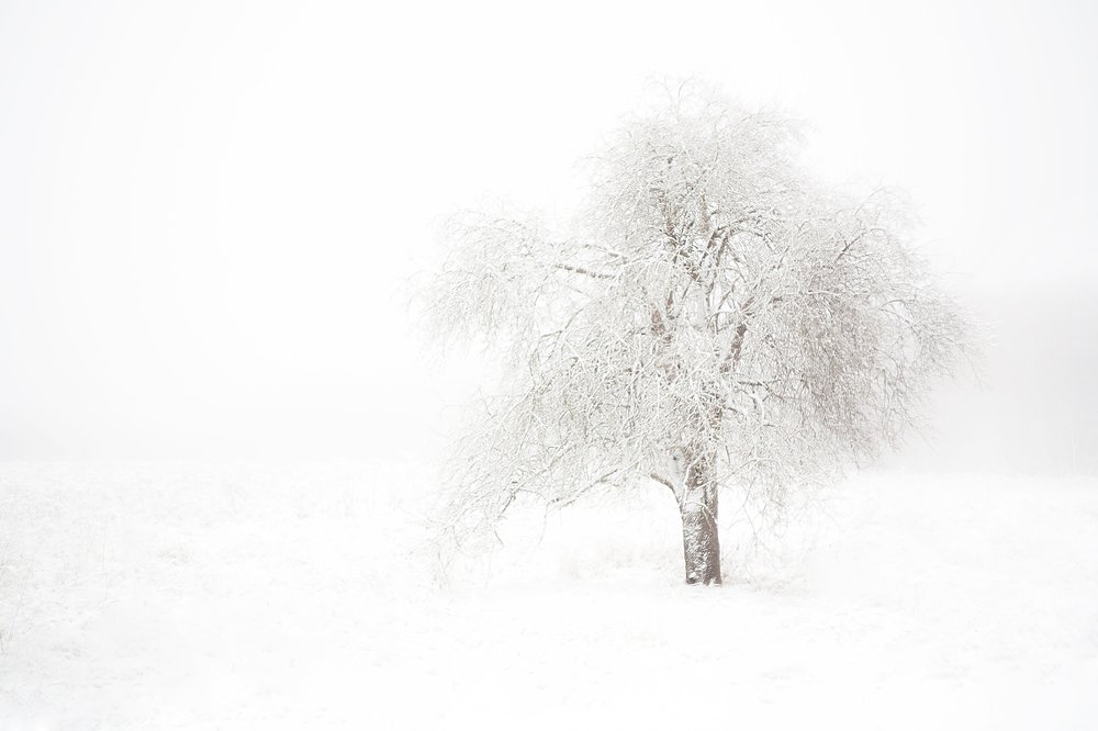 Photograph by Ольга Мурзина