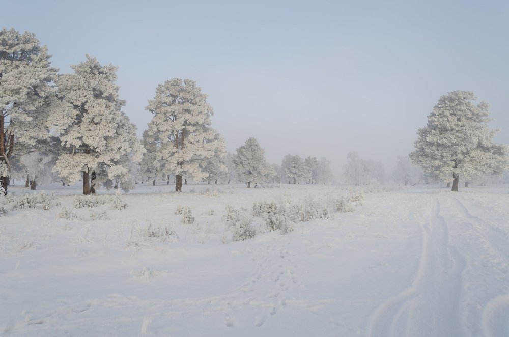 Здравствуй зима!