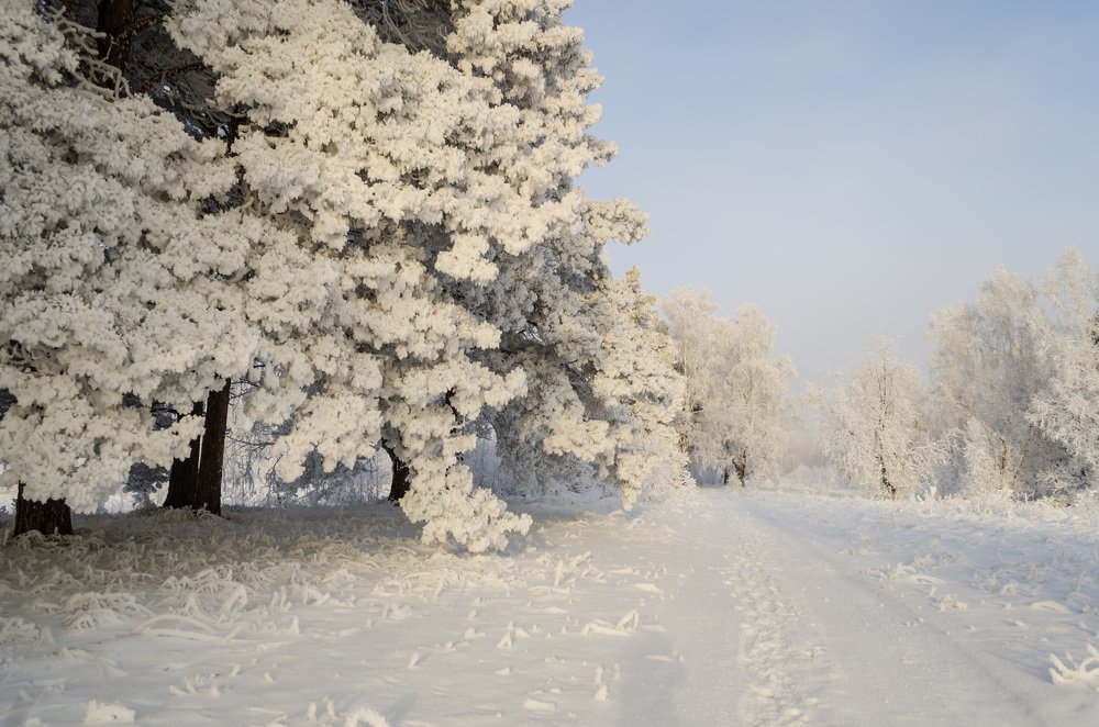 Морозным ноябрьским утром.