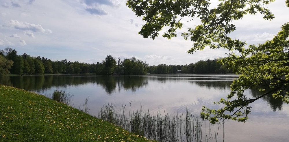 Майское настроение