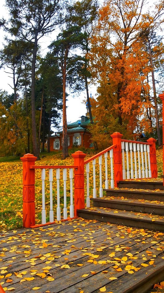 Photograph by Галина Беляева