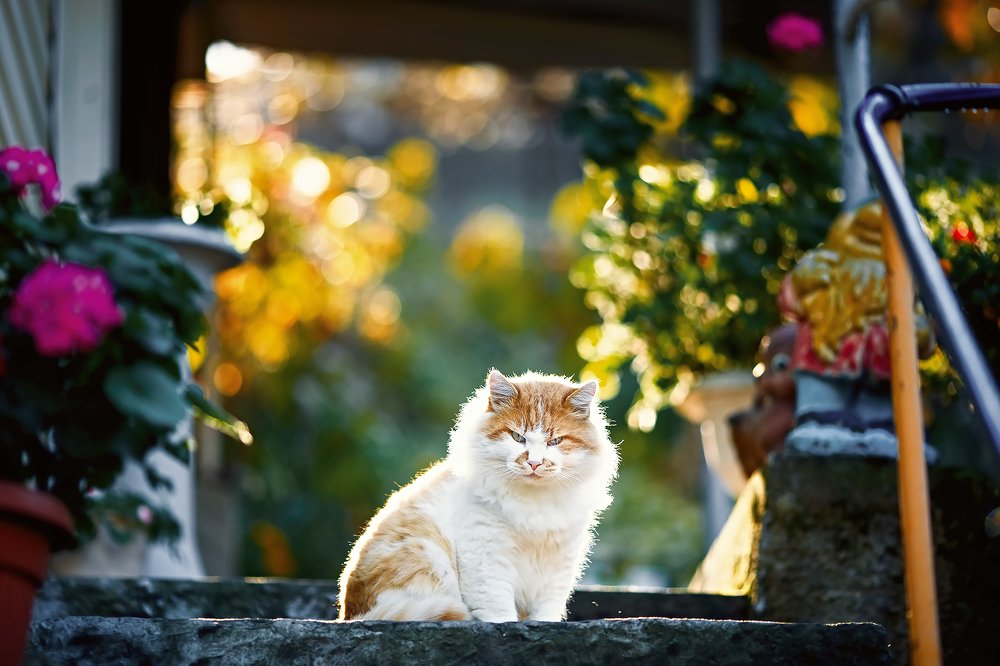 Photograph by Сергей Зайцев