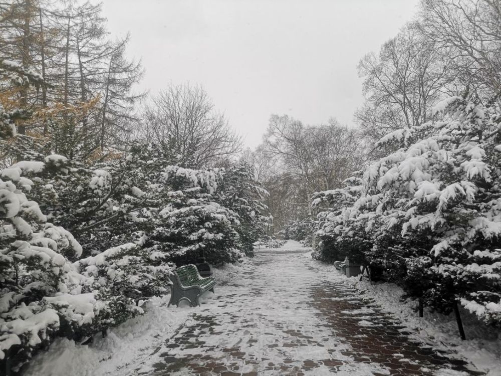 Photograph by Антон