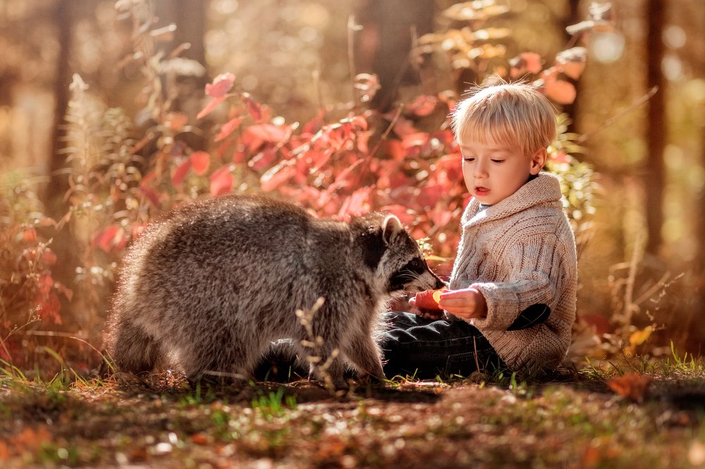 Photograph by Iryna Petrenko