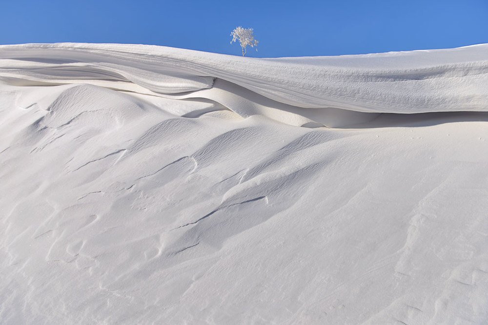 Снежные пустыни Сибири