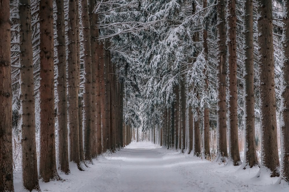 Photograph by Екатерина