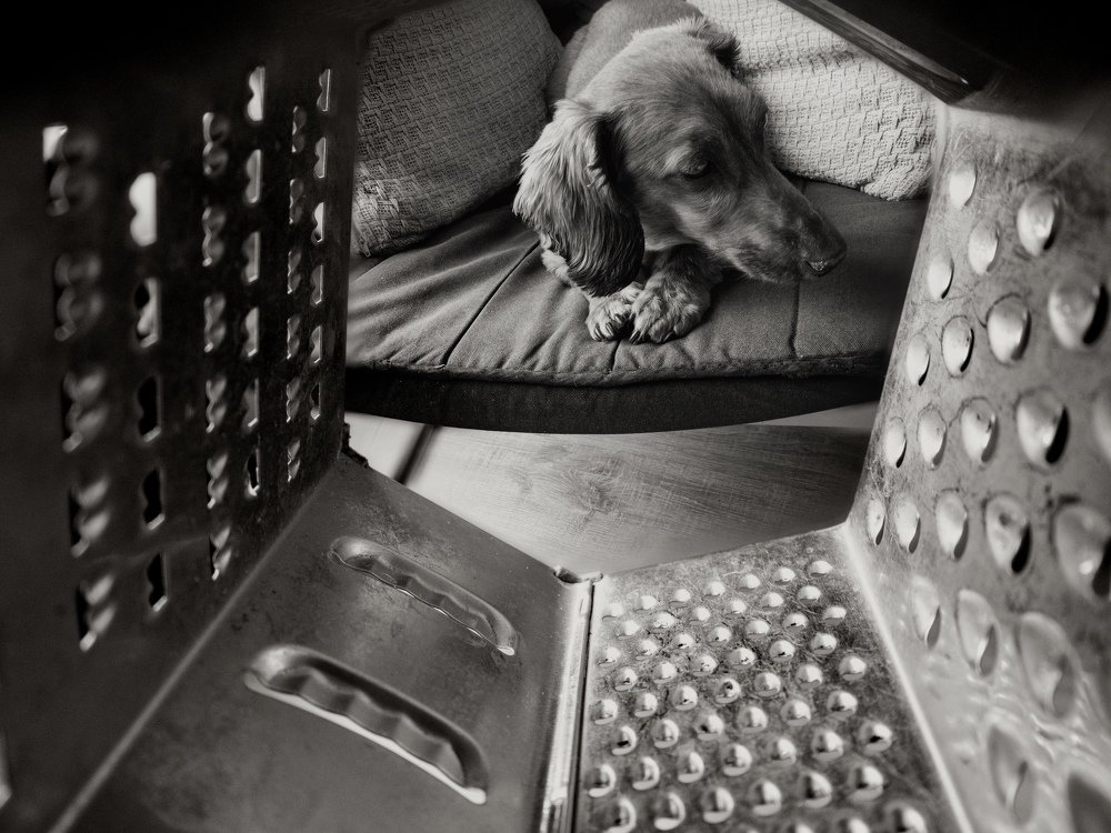 Грустный Бакс