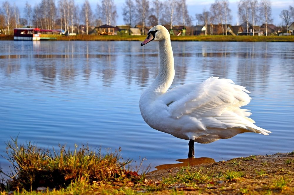 Photograph by Валерий Талейко