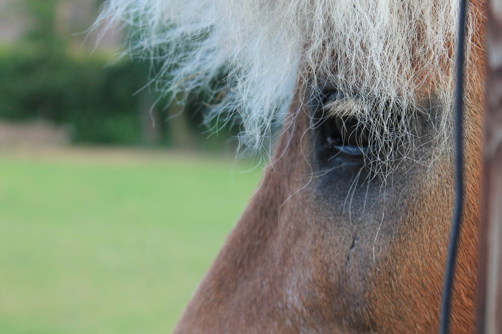 Photograph by Наталья Жигарева