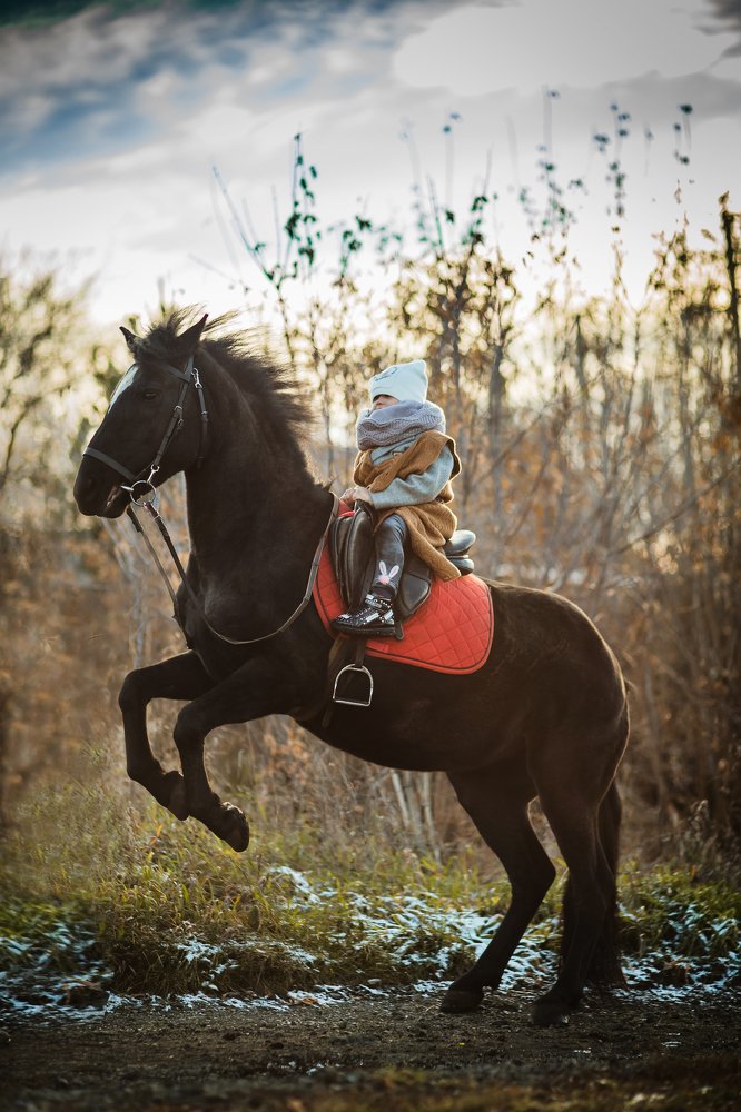 Photograph by Ирина Ладо