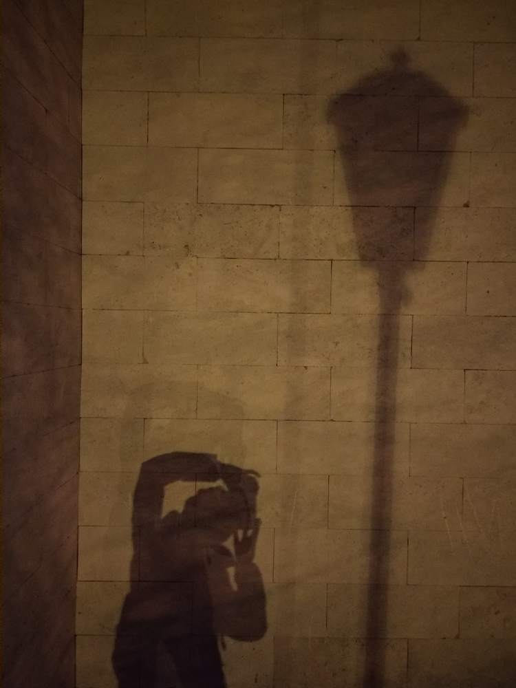Photograph by Лариса Шишкова