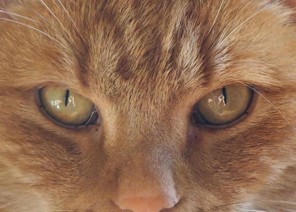 Фотография автора Denes Doma