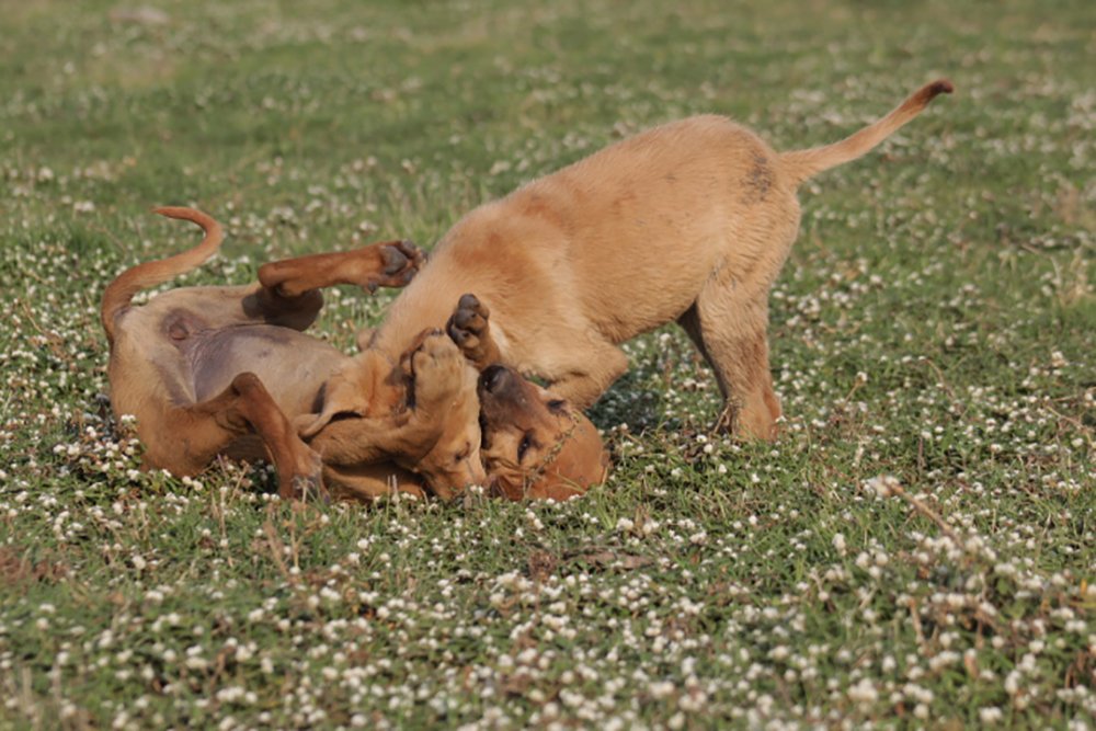 Фотография автора Sushma Mishra
