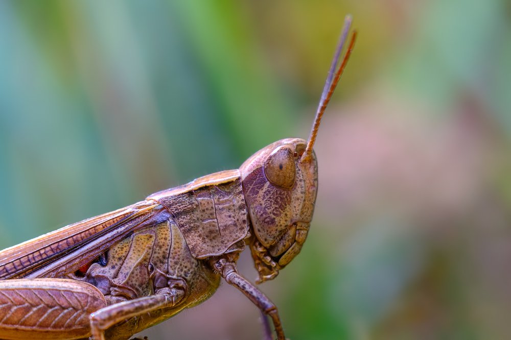 Photograph by Сергей Алтуфьев