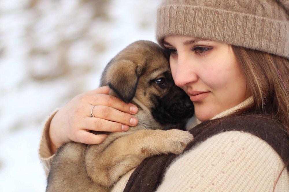 Photograph by Елена Носова