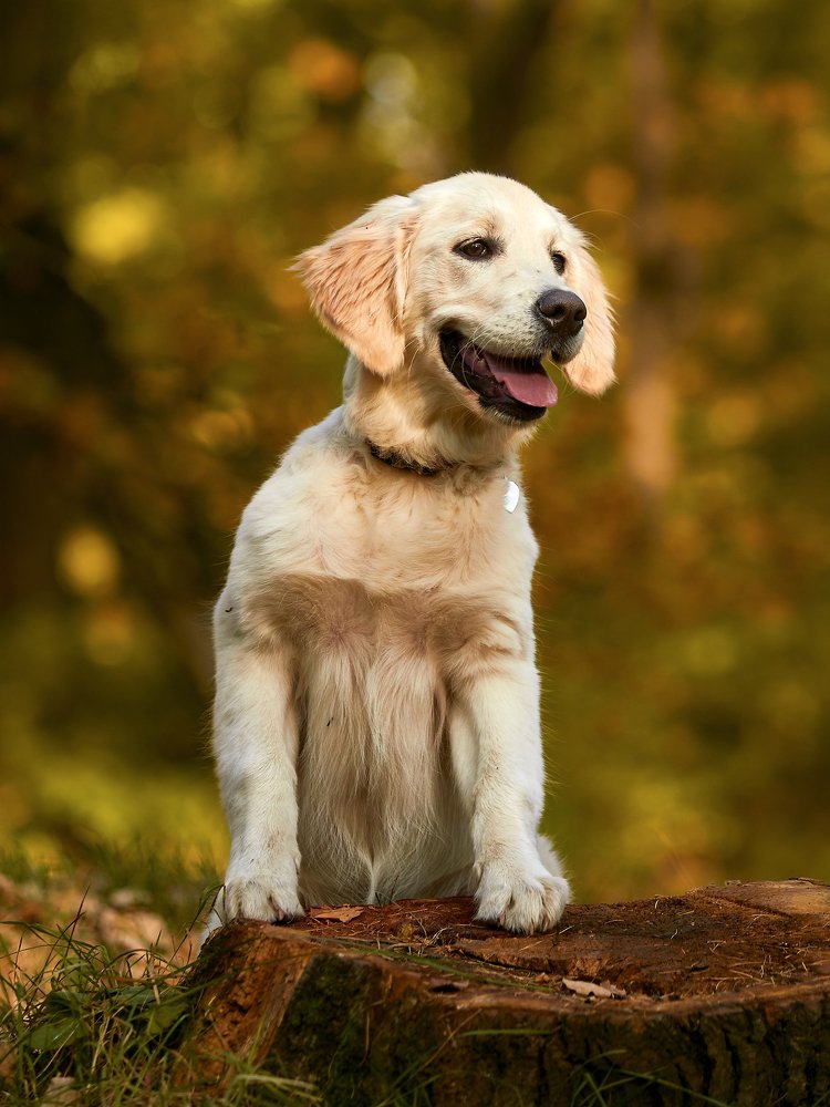 Photograph by Алексей Горшенин