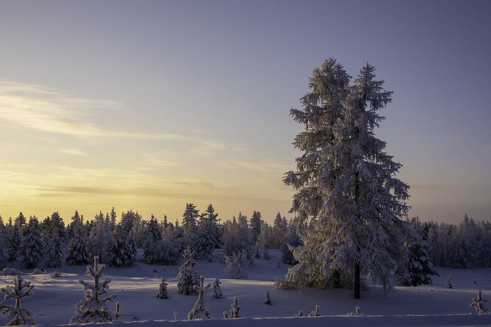 Photograph by Кадырова Марина