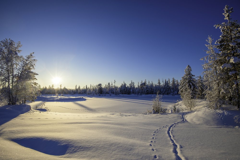 Photograph by Кадырова Марина