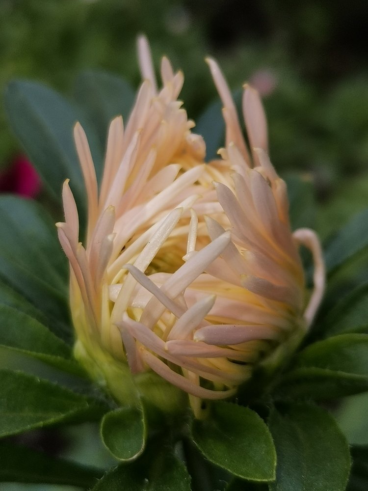 Photograph by Армен Багдасарян